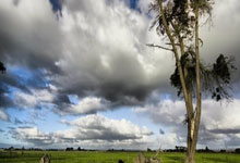 皇家马德里主控担心受伤，球队中场极需加固