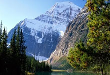 快快评 ｜ 央视取消易建联专访，公众的关注并非猎奇