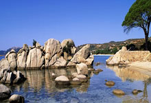 皇家马德里主控担心受伤，球队中场极需加固